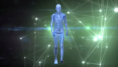 Animation-of-walking-xray-human-figure-over-glowing-network-of-connections,-on-black