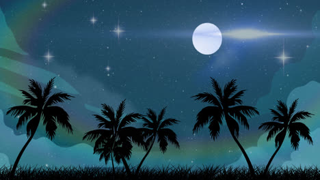 Animation-of-female-dj-icon-over-palm-trees,-stars-and-moon-on-sky
