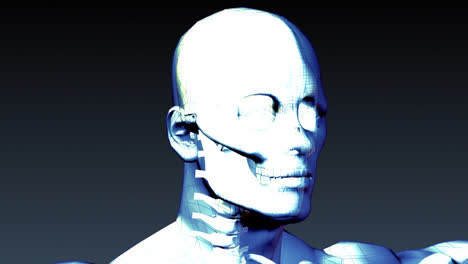 Röntgenanimation-Des-Menschlichen-Skeletts