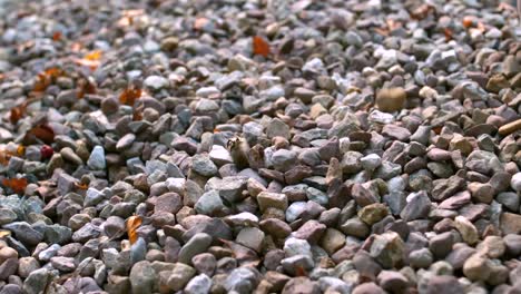 Pebbles-falling-onto-more-pebbles