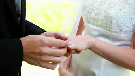 Bride-and-groom-exchanging-wedding-rings