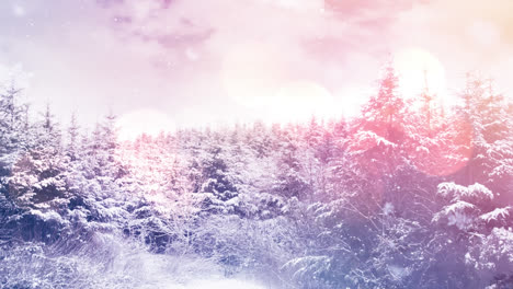 Animation-of-glowing-spots-of-light-over-snow-falling-and-winter-landscape-with-fir-trees