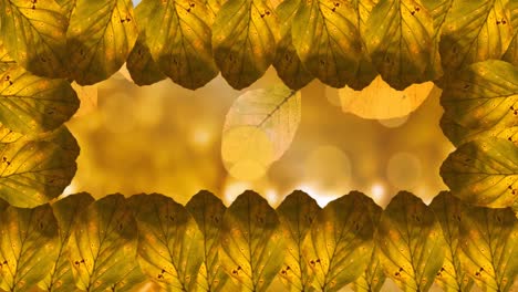 Animation-of-frame-of-autumn-leaves-over-autumn-forest-background