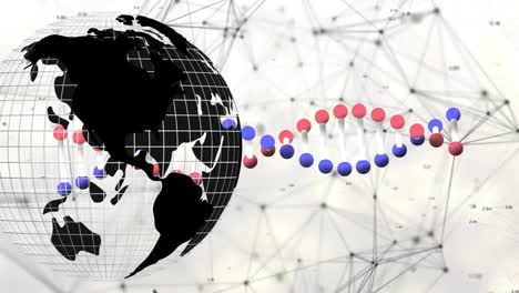 Animation-of-globe-and-dna-chain-over-network-of-connections-on-white-background