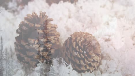 Animation-Einer-Winterlandschaft-über-Schnee-Und-Zapfen