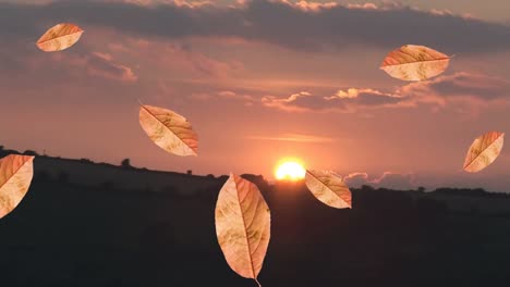 Digital-composition-of-multiple-autumn-leaves-icons-falling-against-sunset