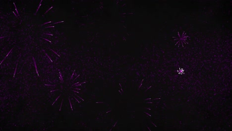 Animation-Von-Silvestergrüßen-Und-Explodierenden-Rosa-Feuerwerkskörpern-Auf-Schwarzem-Hintergrund