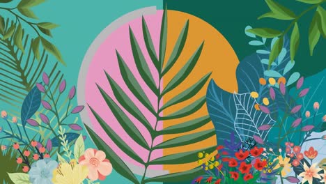 Animation-of-illustration-of-exotic-leaf-shapes-and-flowers-over-pink-and-orange-circle,-on-green