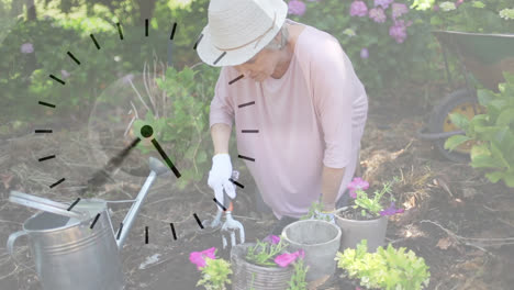 Tickende-Uhr-Vor-Porträt-Einer-Kaukasischen-Seniorin,-Die-Im-Garten-Gärtnert