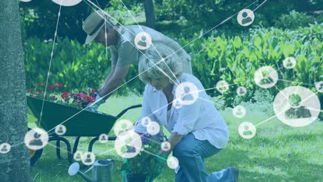 Network-of-profile-icons-against-caucasian-senior-couple-gardening-together-in-the-garden