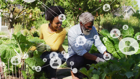 Network-of-profile-icons-against-african-american-father-and-daughter-gardening-in-the-garden