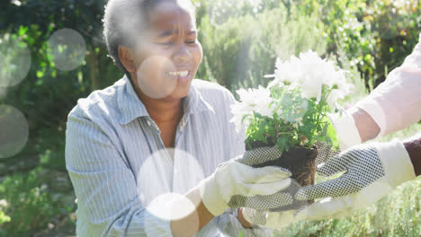 Spots-of-light-against-african-american-senior-couple-gardening-together-in-the-garden
