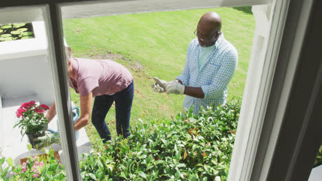 Happy-senior-diverse-couple-wearing-shirts-and-working-in-garden