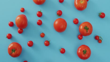 Video-of-fresh-tomatoes-and-cherry-tomatoes-on-blue-background