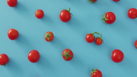 Video-of-fresh-cherry-tomatoes-on-blue-background