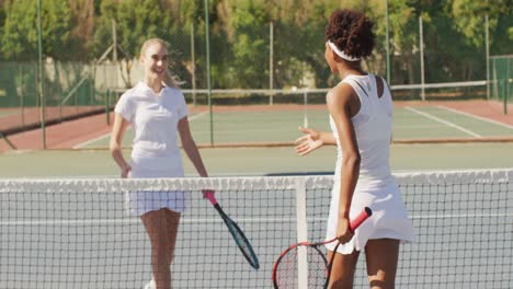 Video-Von-Glücklichen,-Vielfältigen-Tennisspielerinnen,-Die-Schläger-Halten-Und-Hände-Schütteln