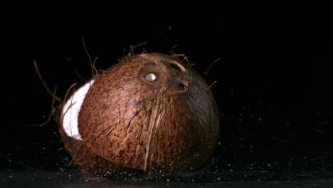 Coconut-falling-and-splitting-on-black-background
