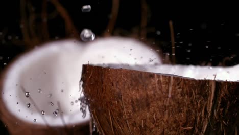 Water-raining-down-on-coconut-on-black-background