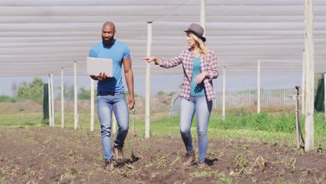 Video-of-diverse-woman-and-man-with-laptop-walking-in-greenhouse