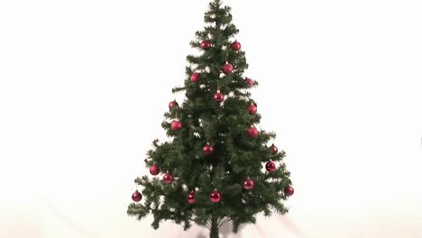 Time-Lapse-of-Decorating-Christmas-Tree