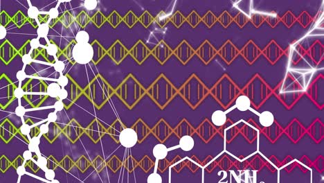 DNA-Strukturspinnen-Und-Chemische-Strukturen-Vor-Netzwerk-Von-Verbindungen-Auf-Violettem-Hintergrund