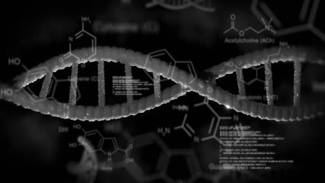 Estructura-De-ADN-Girando-Y-Estructuras-Químicas-Contra-El-Procesamiento-De-Datos-Sobre-Fondo-Negro.