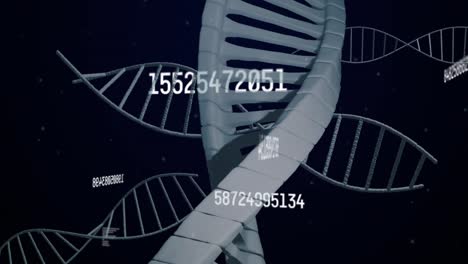 Animation-Von-Zahlen,-Datenverarbeitung-Und-Sich-Drehenden-DNA-Strängen