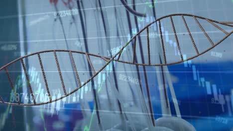 DNA-Strukturspinnen-Und-Finanzdatenverarbeitung-Vor-Nahaufnahme-Von-Laborgeräten