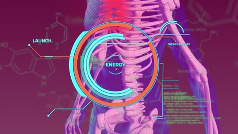Animation-Chemischer-Strukturen-Und-Datenverarbeitung-über-Einem-Menschlichen-Körpermodell-Auf-Violettem-Hintergrund