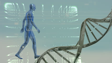 Animation-Von-Spots-Und-Digitalem-Menschen-über-DNA-Strang