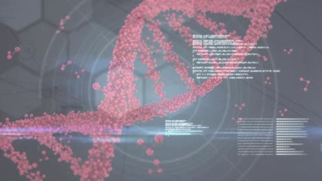 Animation-Des-DNA-Strang-Kommunikationsnetzwerks-Und-Der-Scanner,-Die-Daten-Verarbeiten