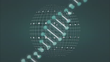 Animation-Des-Globus-über-DNA-Strang-Auf-Schwarzem-Hintergrund