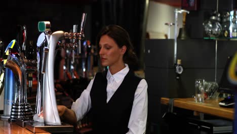 Portrait-of-a-smiling-barkeeper-working