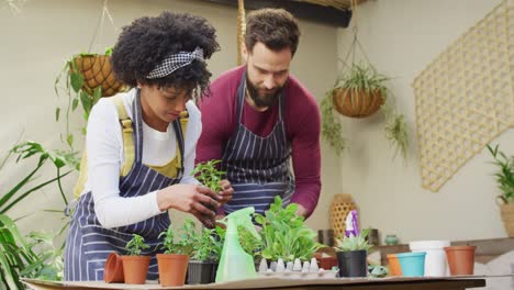 Video-of-happy-diverse-couple-potting-seedlings-together-at-home,-with-copy-space