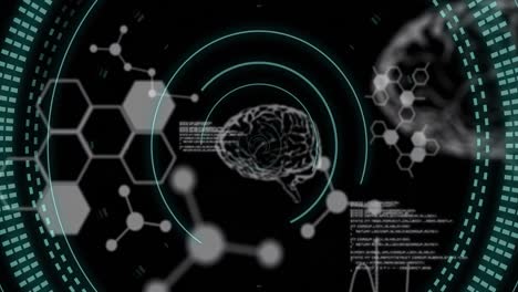 Animation-of-data-processing-and-brains-over-black-background