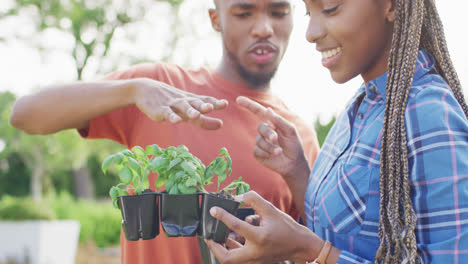 Glückliches-Afroamerikanisches-Paar,-Das-Kräuter-Im-Hinterhof-Pflanzt