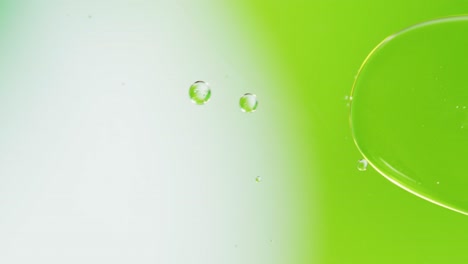 Animation-of-bubbles-moving-on-white-and-green-background-with-copy-space