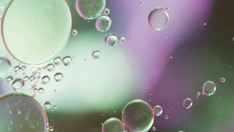Animation-of-bubbles-moving-on-green-and-pink-background-with-copy-space
