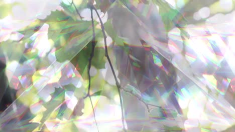 Animation-of-glowing-crystals-over-green-leaves-on-tree