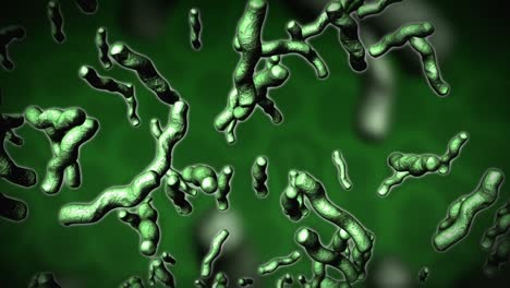 Medical-Animation-of-moving-Bacteria