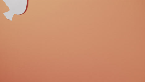 Nahaufnahme-Einer-Weißen-Taube-Mit-Blatt-Und-Kopierraum-Auf-Orangefarbenem-Hintergrund