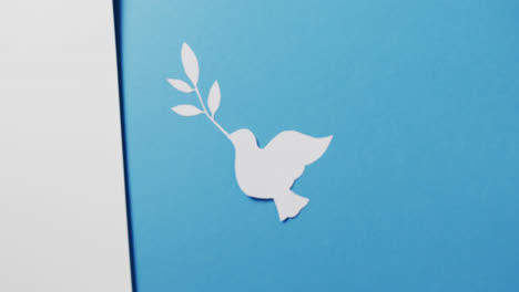 Nahaufnahme-Einer-Weißen-Taube-Mit-Blatt,-Weißem-Papier-Und-Kopierraum-Auf-Blauem-Hintergrund