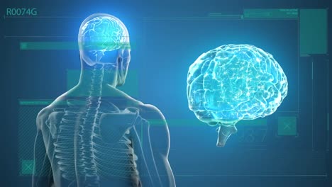 Animation-of-human-body-with-brain-and-data-processing-on-blue-background