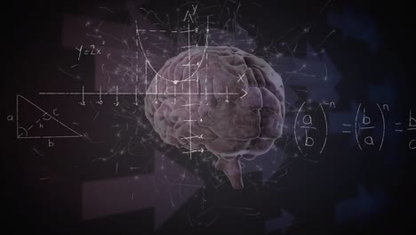 Animation-of-mathematical-data-processing-over-human-brain