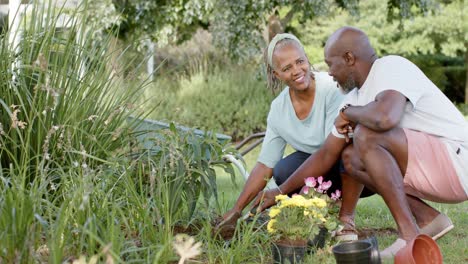 Feliz-Pareja-De-Ancianos-Afroamericanos-Haciendo-Jardinería-En-Un-Jardín-Soleado,-Cámara-Lenta
