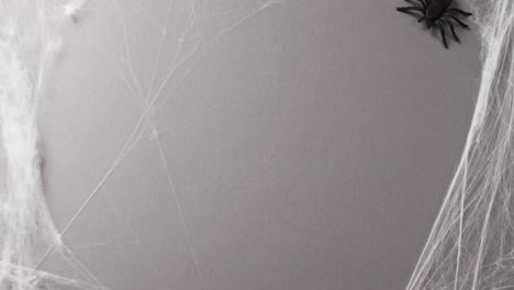 Video-of-halloween-spider-and-spider's-web-and-copy-space-on-grey-background
