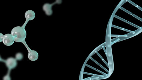 Animation-Von-3D-Mikromolekülen-Und-DNA-Strang-Auf-Schwarzem-Hintergrund