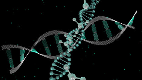 Animation-Von-3D-Mikromolekülen-Und-DNA-Strängen-Auf-Schwarzem-Hintergrund