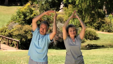 Senior-couple-doing-stretching-exercices