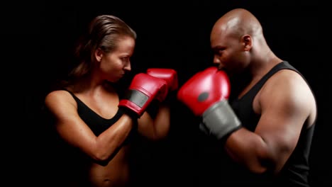 Male-and-female-boxer-looking-at-each-other